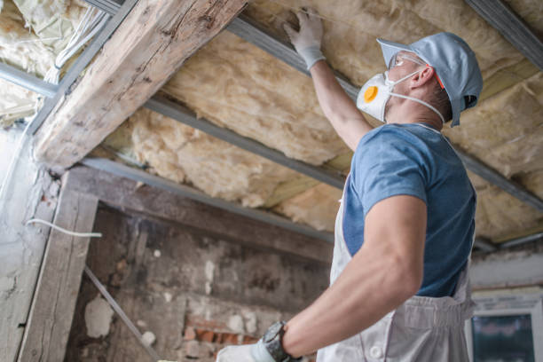 Best Specialized Insulation Services in Chula Vista, TX