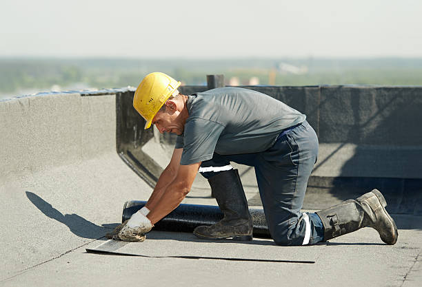 Best Geographic-Specific Insulation Services in Chula Vista, TX