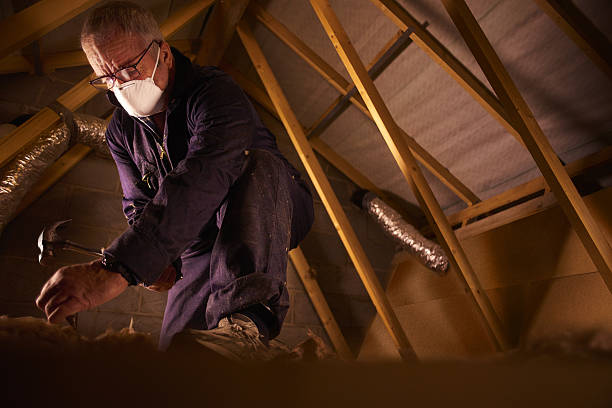 Best Energy Efficiency Insulation in Chula Vista, TX